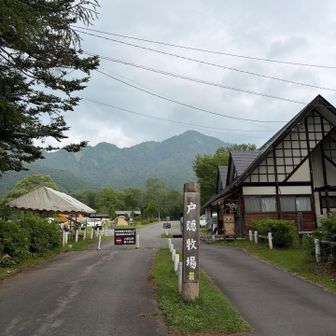 見えた〜