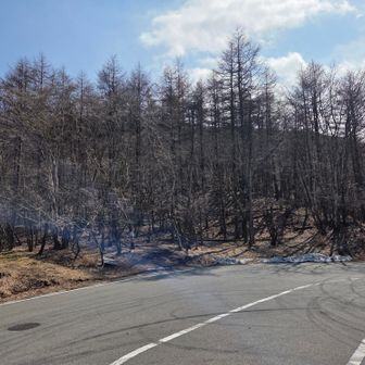 駐車場脇になごり雪が…
