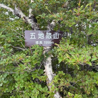 本日最初のピーク