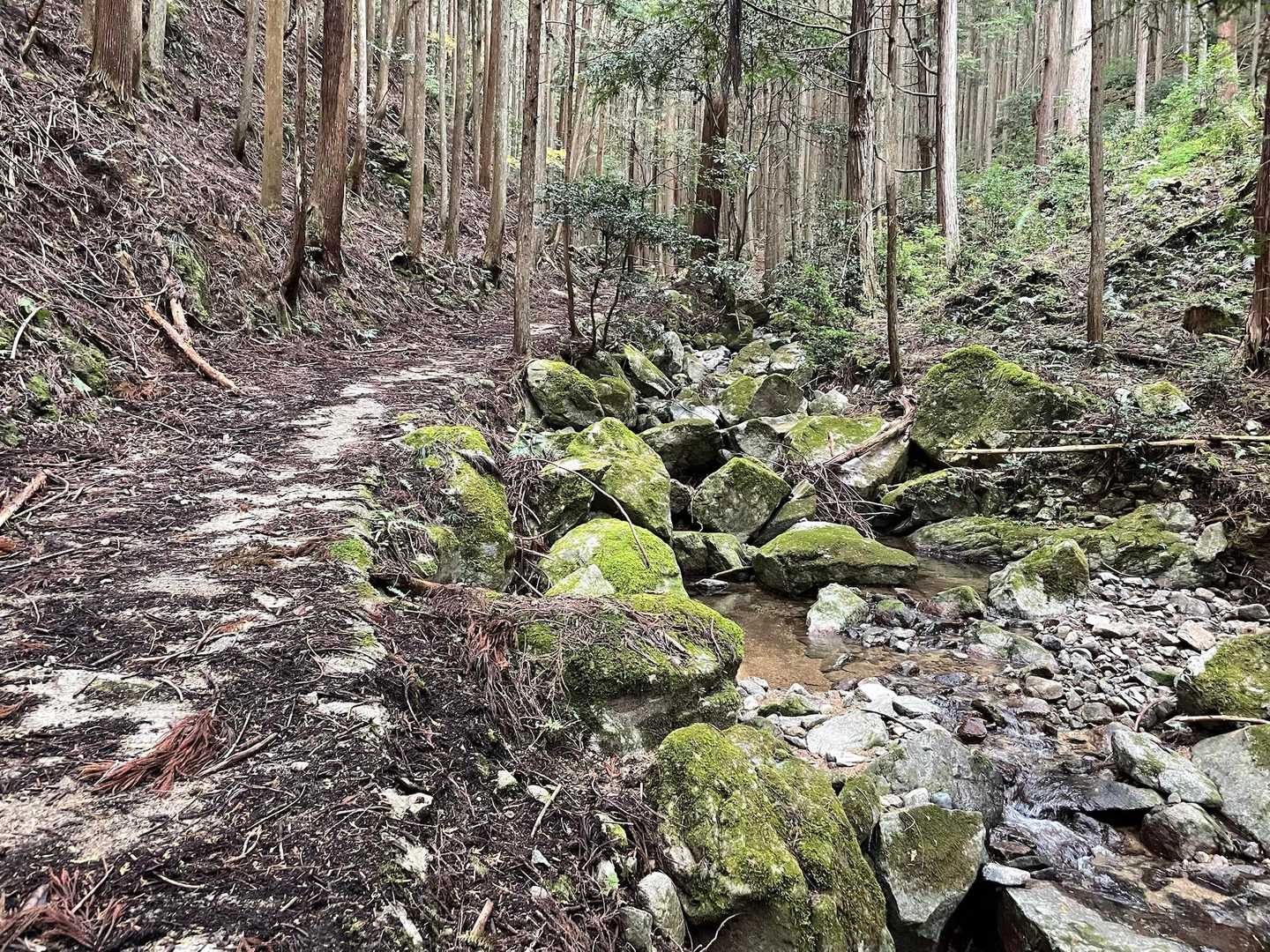 苔むしてていい感じ😊