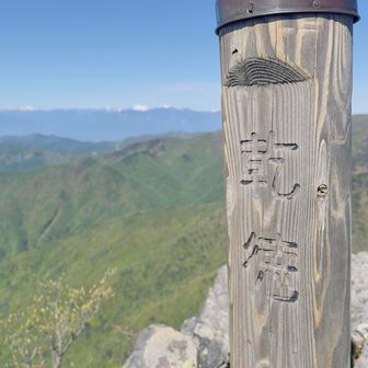 山頂からは富士山と南アルプス
中央アルプスも少し見えました