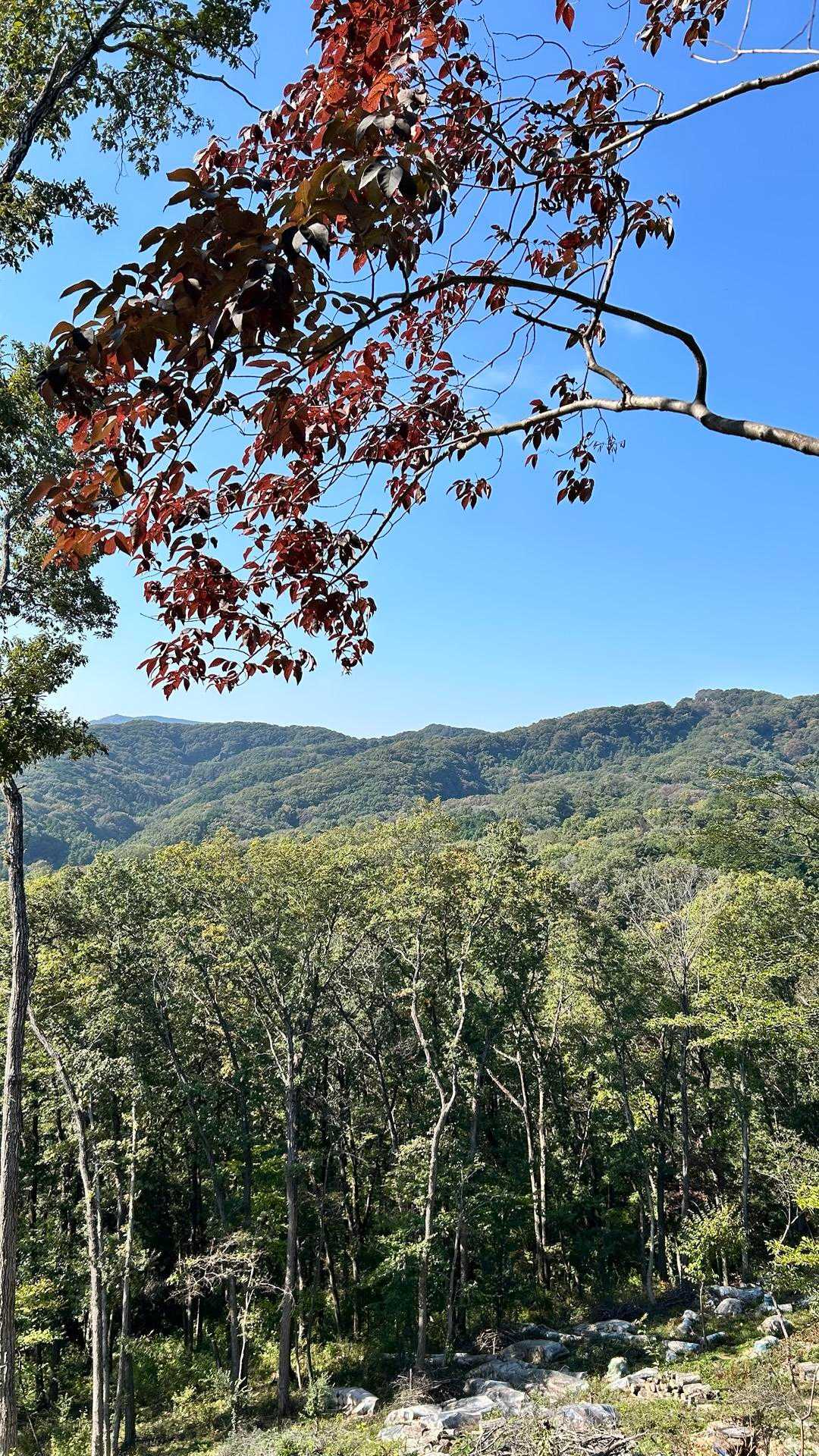 八幡山-鐘撞堂山 周回コースの写真