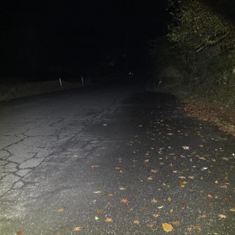 路肩にスペースあったのでここに駐車