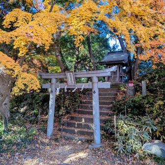 金比羅神社⛩️