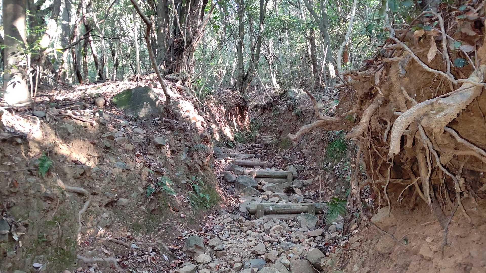 ガレ場道。