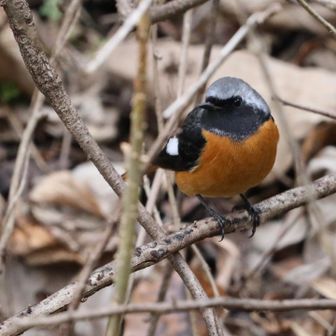 今年一年ありがとうございました。
皆さまも良いお年をお迎え下さい🙇‍♂️