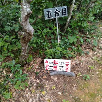 五合目独標。