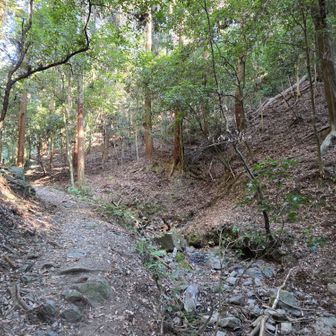 拝殿先、小橋から右の方へ道があるがまっすぐ進む

右方向の道は先で七福思案処に出合うようです