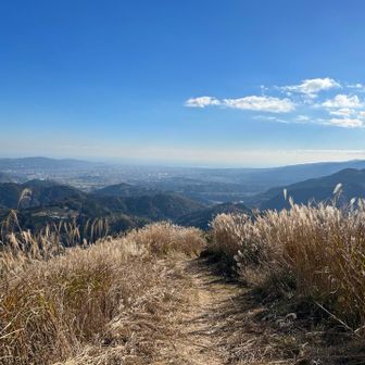 プルプルちゃん