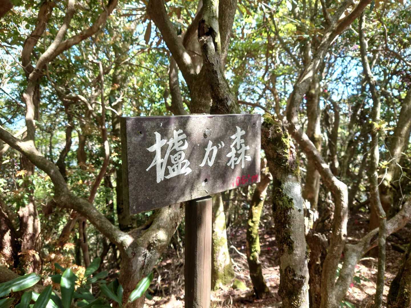 ハゼガモリへ