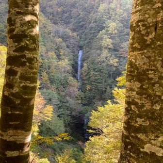 紅葉の向こうに日暮の滝。
