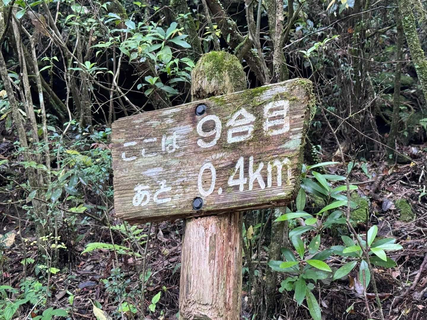 かいもん山麓ふれあい自然公園-開聞岳コースの写真