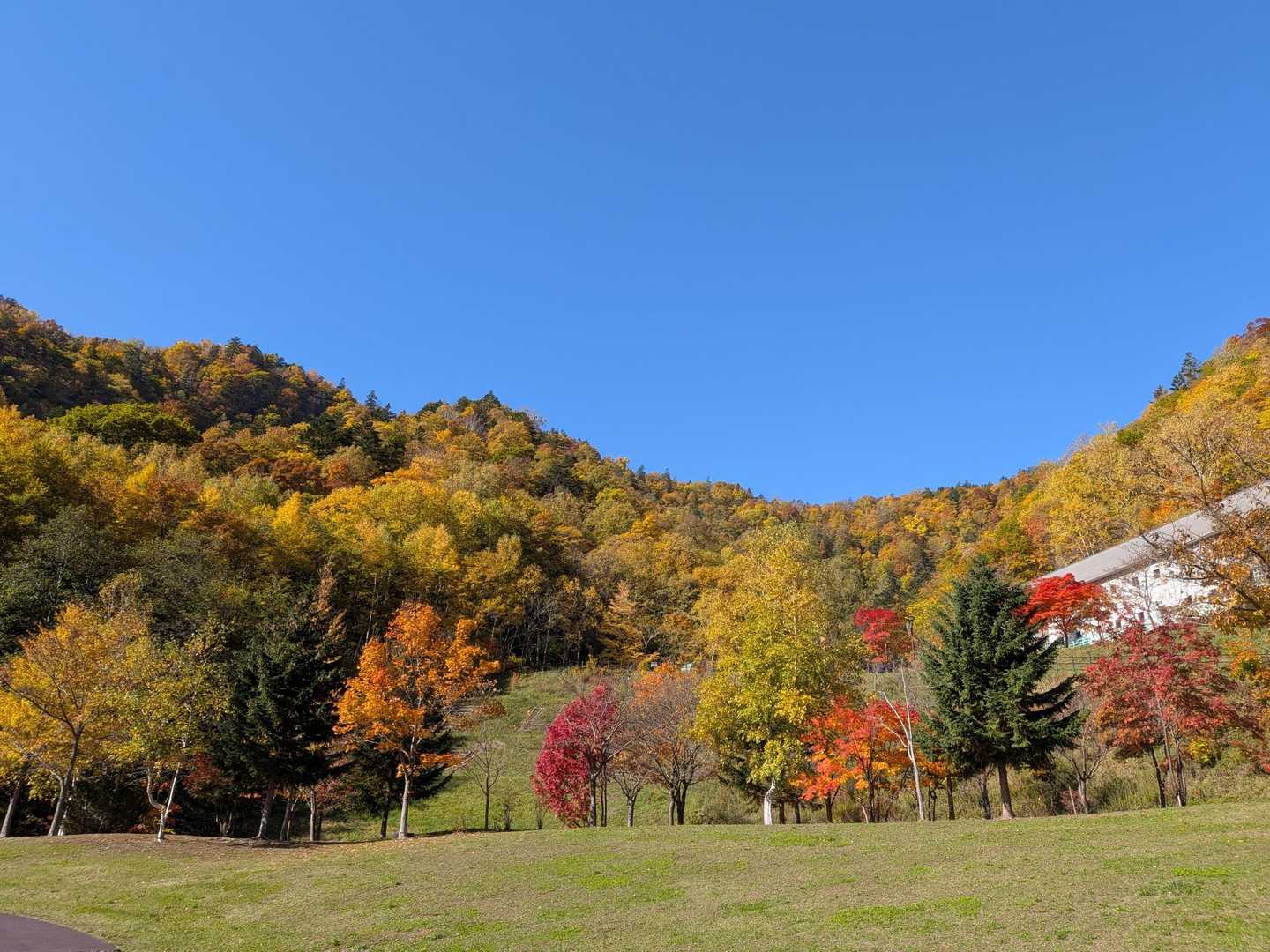 小天狗岳 往復コースの写真