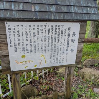 長瀞八景