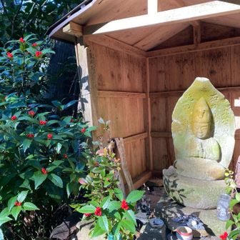 灰野峠の石仏
文政って刻まれてる
昔の人も歩いてたんだなぁ
千両が綺麗