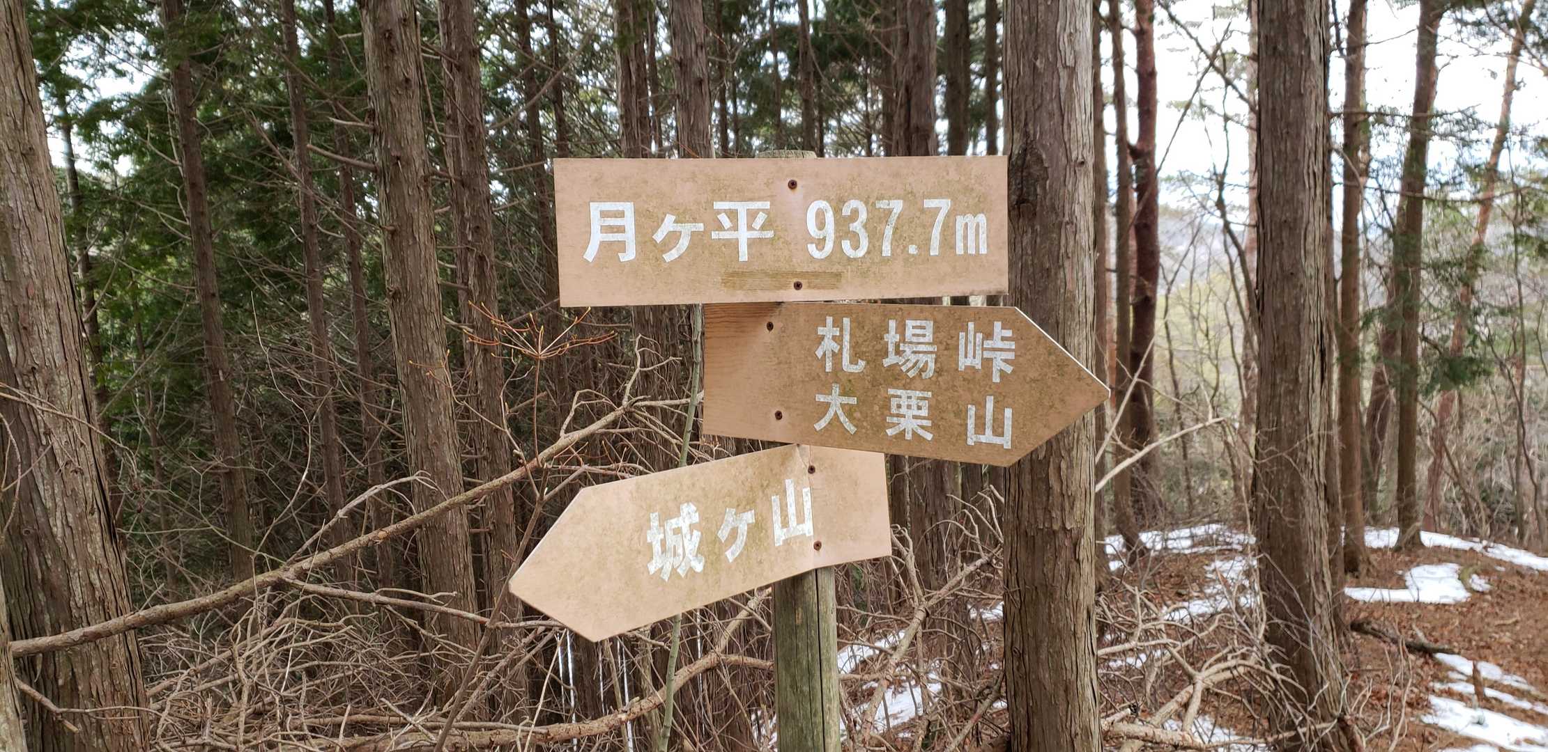 月ヶ平⛰️頂上