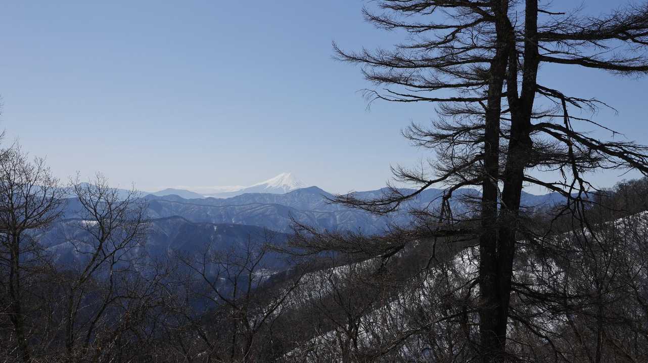 雲取山（鴨沢〜雲取山〜三条の湯泊〜鴨沢） の写真 7