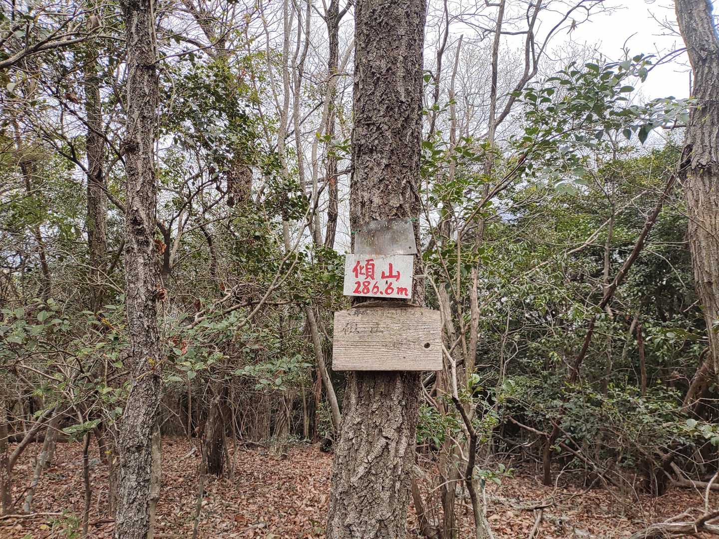 傾山（香川県）の写真