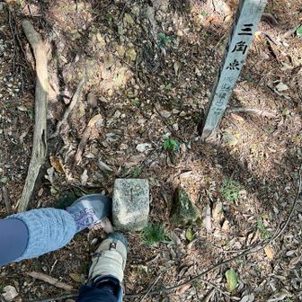 【城山(横山)登頂 200㍍】
去年に登ったときは側を通過しただけなので、今年はちゃんと獲っておきます🔺