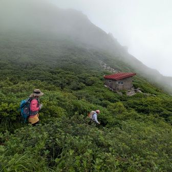 避難小屋まで下る