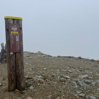 2835m 富山大学立山研究所の分岐