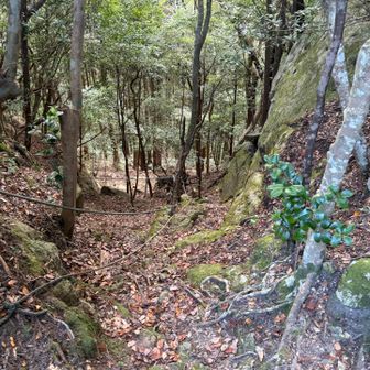さあ下山だ。