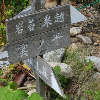 ここから雲の平に行けるんだ。。