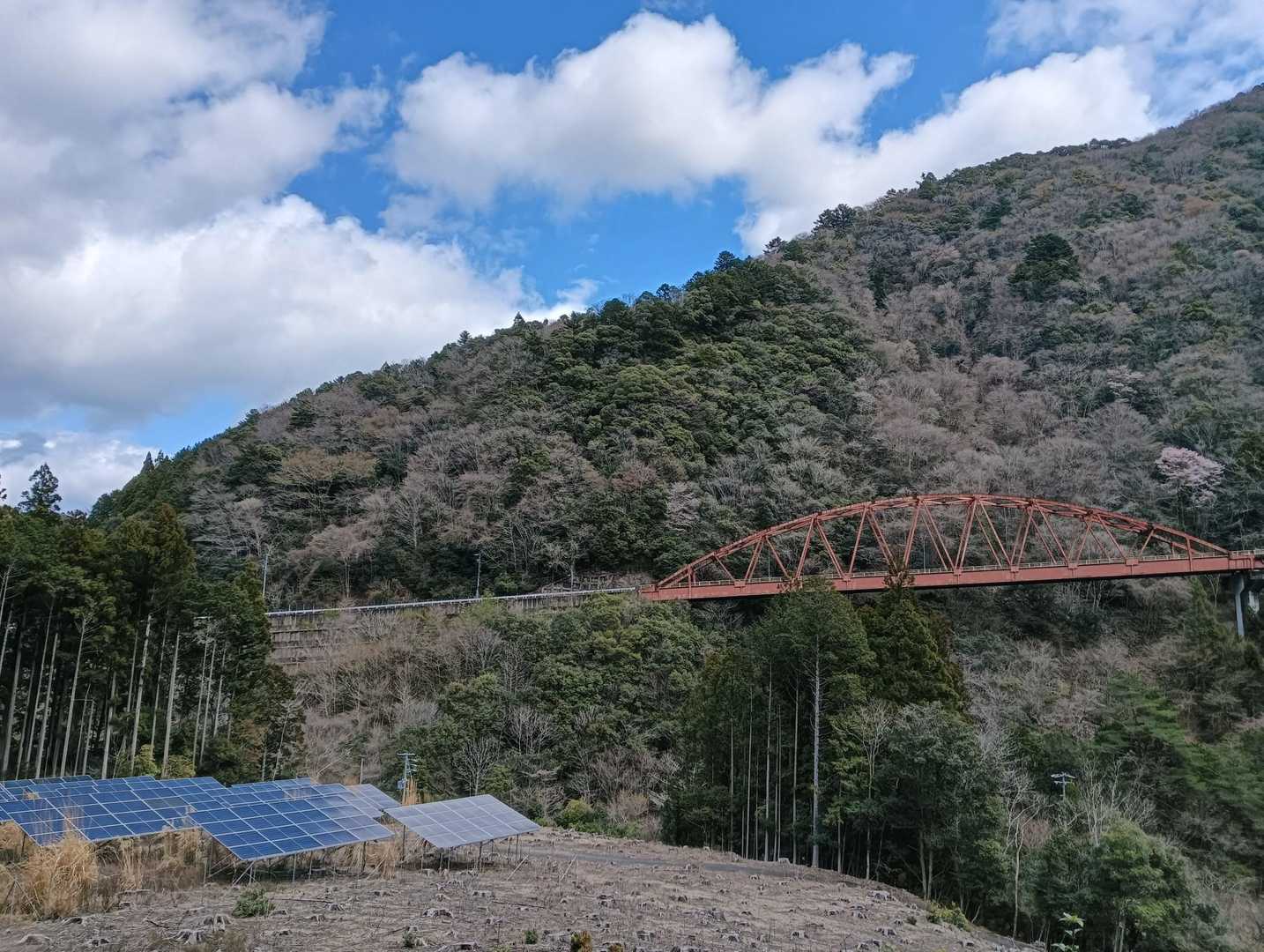 天気予報通り晴れてきましたー！
