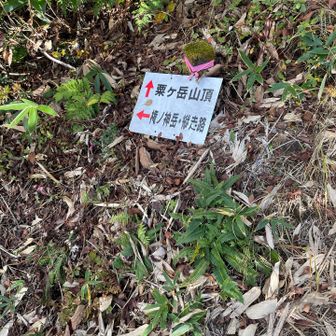 時間的に周回無理っ