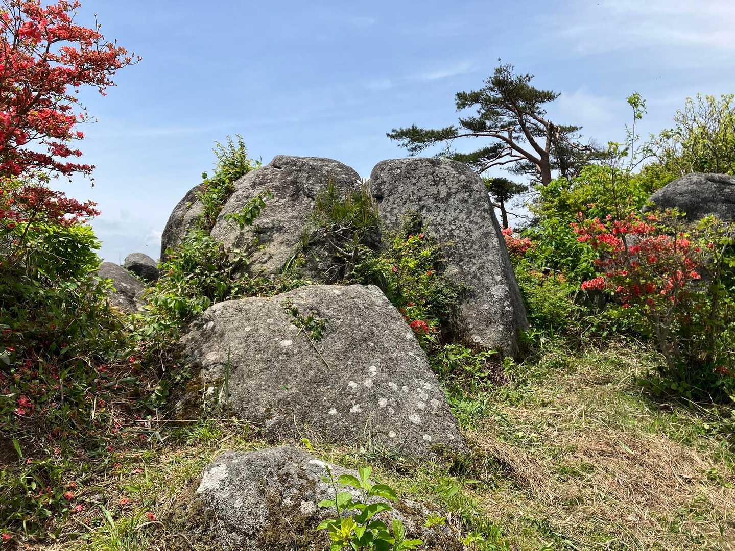 三ッ石🪨
この辺りの木の下で早めのお昼🍙
暑いので皆さん木陰で休憩です