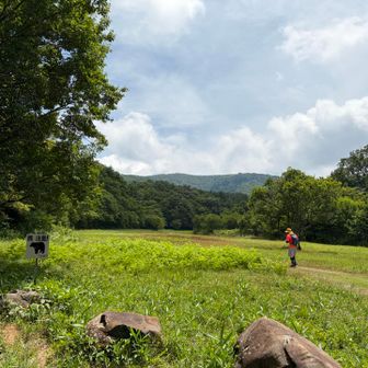 スタート地点標高800メートル✨
気温は28度　✨涼しい✨

広めの駐車場あり
夏休みで子どもさんも見かける
お蕎麦やさんも賑わってる
いい感じ👍

アブもいない

