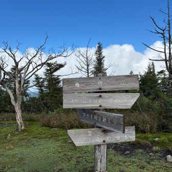 権現山着きました⛰️
空が青くて気持ちいい🩵