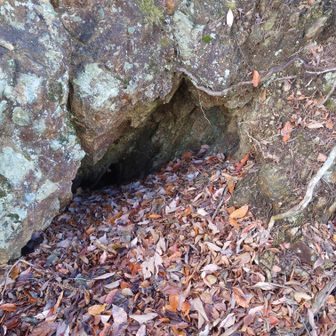 たぶん、鉱山の洞窟跡かな❓️枯れ葉でかなり埋まっている