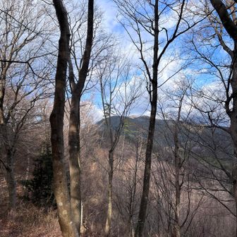 遥かに明神ヶ岳