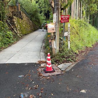 ここが登山口の様です。