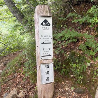 めっちゃ
飛ばして降りてきたが
下山はやはり長かった
こっちの方が
そこまで整備の精度は
上がってない
やはりオススメは
観光新道やな