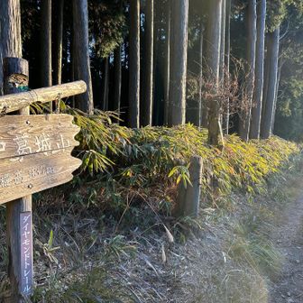急傾斜で木の根につまづいて転倒💦
ザックの反動でしばらく起き上がれなかった
すでに計画よりも40分ほど遅れている
なんとか遅れを取り戻さないと帰りのバスに間に合わない⋯
でも足が痛むのでしばらくゆっくり歩く
