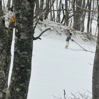 主催者がパークを整備してましたが…既に昼だよ…😱…朝から1回も開けて無い…😑