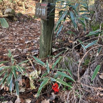 とうとう果ててた