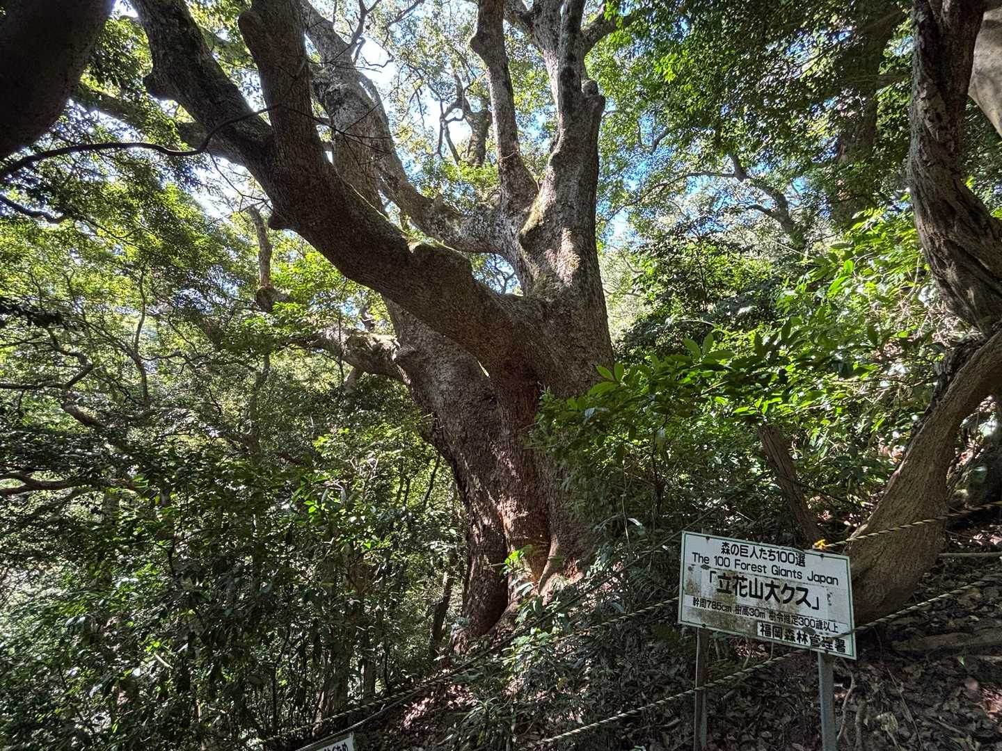 立花山登山口-立花山大クス 往復コースの写真