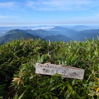 場所が分かれば簡単に見つかりますね