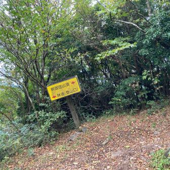 登山口