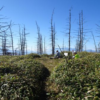 すぐに山頂