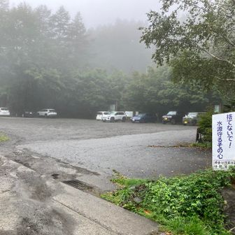 多くの方は、鶏冠山方面に行ったのでしょう。
それなりに楽しめました。