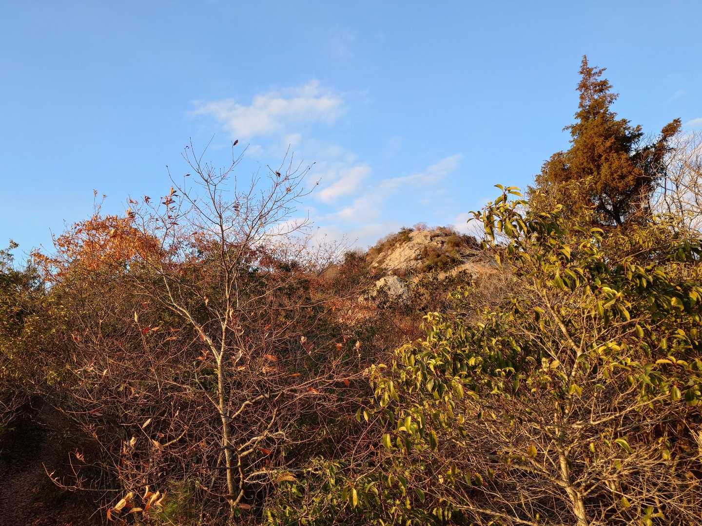 紅山の山頂か夕陽に照らされ始めています