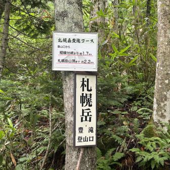何故ここが登山口なのか笑