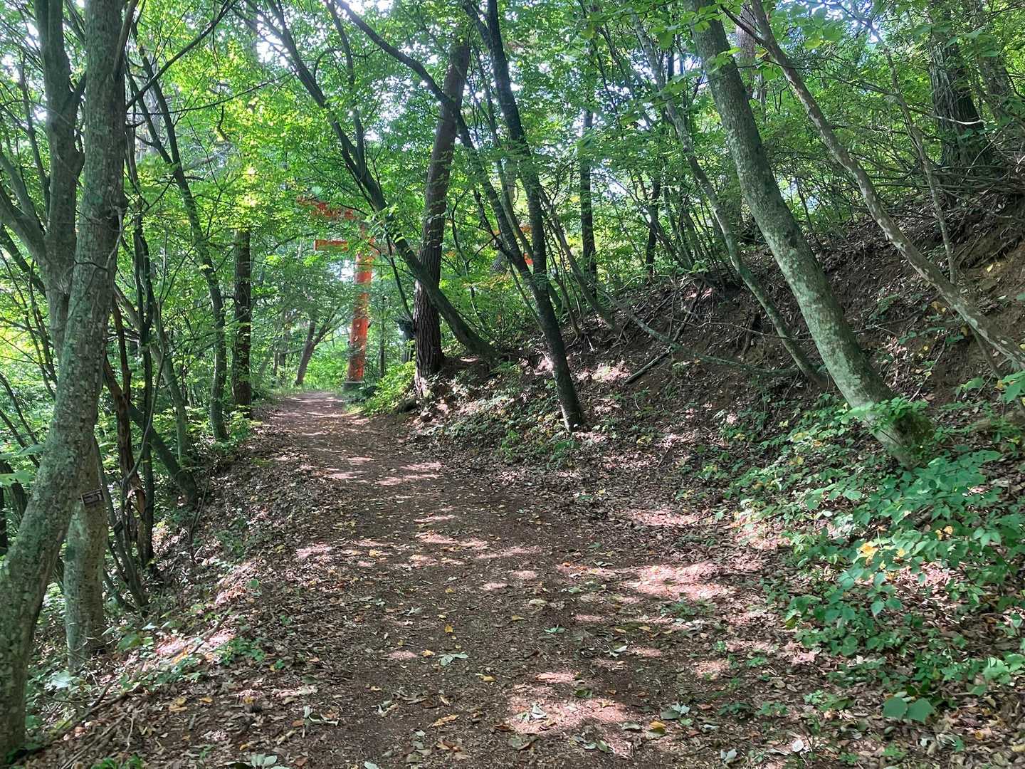 ゾンビのような足取りでなんとか、赤い鳥居まで