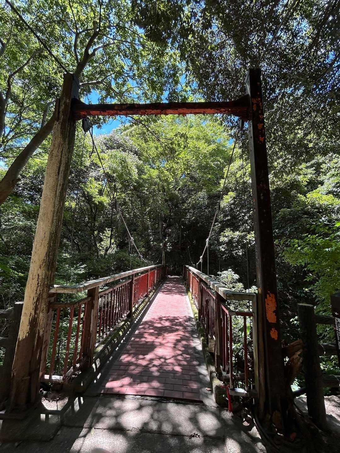 やっと渡れたさるのかずら橋🐒
第二ミッションクリア⤴️
これ見逃す〜⁉️って山友さんに散々突っ込まれる🤣🤣🤣
私も不思議やわ🥸