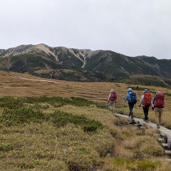 太郎平小屋はすぐそこ。小屋でご飯をたべていたら、天気予報どおり、ポツポツと。気をつけて下りましょう。