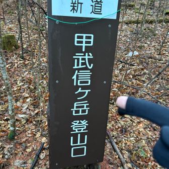 指先がコンニチハする手袋をつけてみましたわ！
徳ちゃん新道コンニチハ！